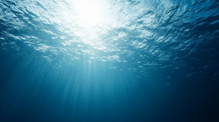 sunlit depths, a captivating underwater spectacle of light and water sunlight