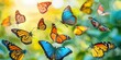 © xartproduction - A group of colorful butterflies flying in the air