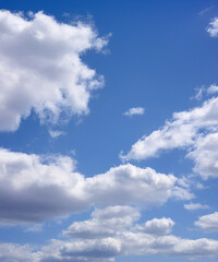 Wall Mural - a peaceful scene of a blue sky dotted with soft, white cumulus clouds, perfect for backgrounds and d