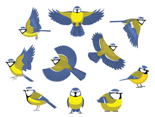 Tit Blue Bird Winter Various Poses Cartoon Vector Character