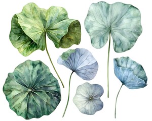 Wall Mural - Soft Watercolor Lotus Leaves in Serene Green and Blue Tones on White Background