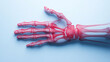 © Marketplace - Detailed view of a skeletal hand against a soft blue background, illustrating human anatomy with a focus on structure and bone composition.