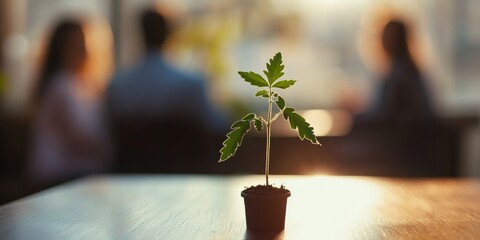 Canvas Print - A small green plant grows in a pot on a table. People sit blurred in the background, suggesting a calm atmosphere. This image captures growth and life in a cozy setting. AI.