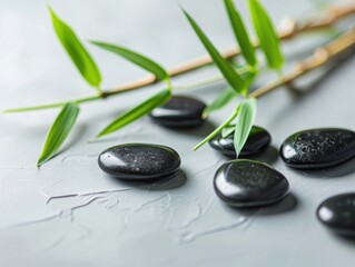 Bamboo and black pebbles on a white background, a spa concept for relaxation time. Zen stones with a green bamboo plant for peaceful wellness and healing.