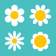 Wall Mural - White daisy chamomile set. Camomile round icon. Cute abstract flower plant collection. Growing concept. Valentines Day. Love card sign symbol. Flat design. Isolated. Green background. Vector