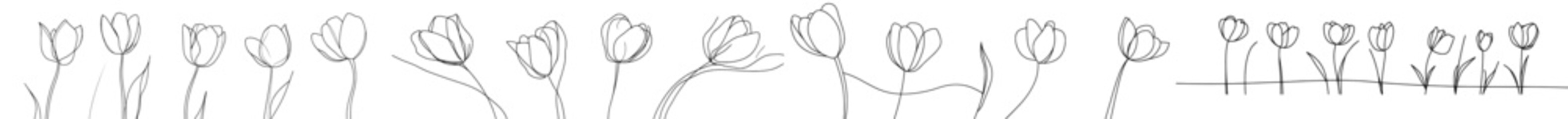 Fototapete - Set of flower lotus continuous lines with editable strokes for floral design.