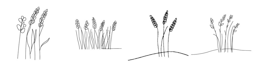 Poster - An isolated white background with a drawing of ears of wheat in one line