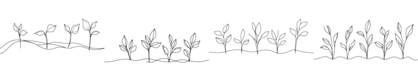 Plant growth isolated on white background or plant seed, cultivation and growing with one line drawing.