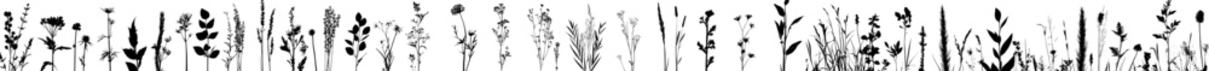 Poster - A set of botanical flower elements rendered in silhouette. In this modern illustration, grass, leaves, herbs, wildflowers, flowers. Selected from a garden, a meadow, a field, a collection of foliage.