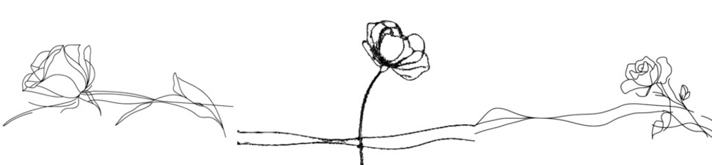 Fototapete - Drawing of a continuous line of a rose flower for a modern illustration. Premium modern illustration.