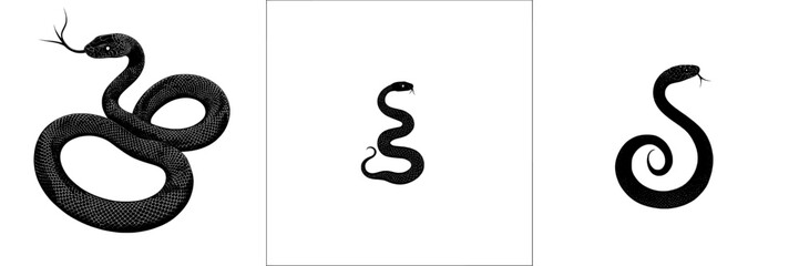 Poster - The snake symbol as a modern illustration sign. The snake symbol as a logotype representation.