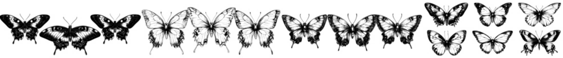 Poster - Vintage etching set of butterflies with open wings, ancient sketch of moths, black tattoos engraving on white.