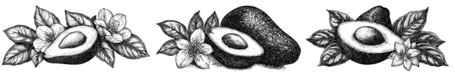 Poster - Embroidery design for food packaging design. Crude plant sketch. Avocado modern illustration. Hand drawn sketch painted with black ink. Ivory fruit with leaves and flowers. Tropical fruit with leaves