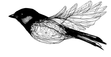 The line art set is composed of a cat, a modern animal silhouette and a sweet black dress.