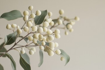 Sticker - A Branch of White Berries and Green Leaves Against a Light Background