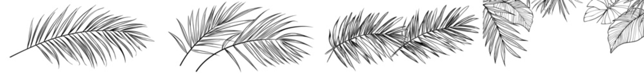 Modern botanical illustration in black and white. Contour of branches and leaves.