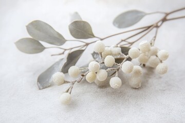 Canvas Print - Frosty White Berries on a Branch with Green Leaves