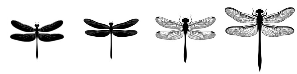 Fototapete - An icon of a dragonfly in modern times. Insect illustration sign. Butterfly logo or symbol.