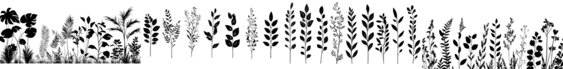 Fototapete - A modern contour branch with leaves. Elegant branches on a white background. Hand drawn monochrome botanical illustration for wedding cards, logos, tattoos, and labels.