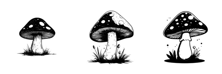 Leinwandbilder - Illustration of a blue mushroom on a white background