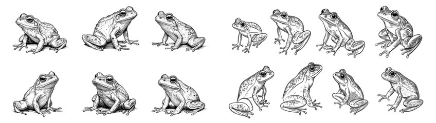 Poster - Vintage Engraved Pattern of Handdrawn Frog Sketches in Black and White