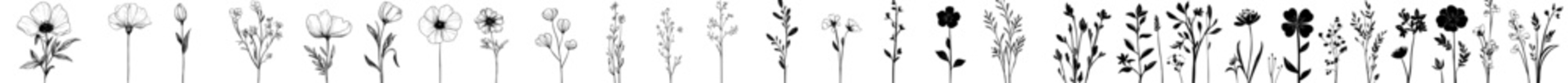 Poster - A hand drawn pencil illustration of botanical silhouettes isolated on white. Add this clipart to your wedding invitation card to make it look elegant.