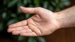 © nilawan - Open hand gesture symbolizing invitation and connection in personal and professional interactions