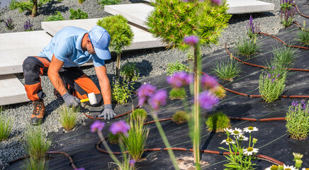 Wall Mural - Gardener Planting Flowers and Shrubs in a Landscaped Garden During Daytime in a Tranquil Setting