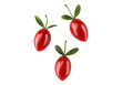 © Saiqa - Photo of wolfberry fruit .Transparent background. Isolated PNG.