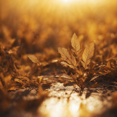 Wall Mural - Golden leaves basking in the sunlight during autumn in a serene forest landscape