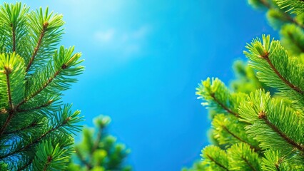 blue and green natural background with pine branches and needles