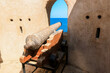 © Dave - Historic cannon overlooking the sea from a fort in Muscat Oman during a clear sunny day