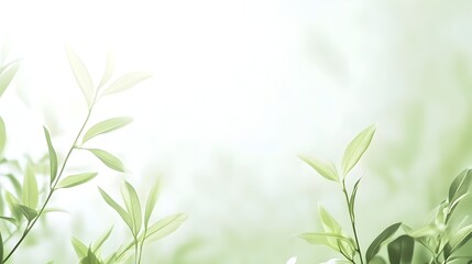 Wall Mural - Soft Green Gradient Nature-inspired Calming Background with Plenty of Space for Text