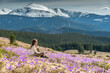 © XArt - One female hiker sitting on Mountain Meadow Full of Purple Crocuses. Active young woman on her weekend hiking trip while enjoying his calm break in nature