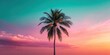 © InspireStock Gallery - A solitary palm tree stands tall against a vibrant sunset sky, the warm hues of pink and orange blending seamlessly with the cool turquoise above, a breathtaking display of nature's artistry.