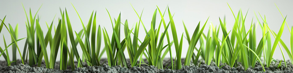 Wall Mural - Grass Green Growth: Vibrant green blades of grass emerge from a bed of soil, growing taller and stronger against a soft gray background.