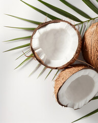 Two coconuts in a white background with one of them cracked in half, studio lighting.