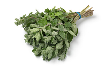 Wall Mural - Bouquet of fresh picked oregano close up isolated on white background