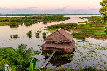 Landscape of a sunset in the Peruvian jungle, Iquitos, Peru