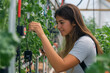 © wolfhound911 - A young Hispanic female agriculture engineer adjusting sensors in a smart irrigation system, her focus on sustainability clear as she works amidst healthy, tech-driven crops.