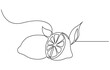 © Main - Lemon in one line. The concept of healthy eating, fruits, citrus. Minimalistic design. Vector graphics, The lemon is drawn with one continuous line on a white background