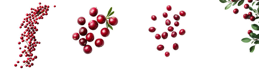 Cranberries floating on a white background