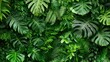 © TopMedia - Lush Green Leaves Background for Natural Decor