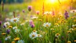 © beng - Close-up of wildflowers and grass in a natural setting