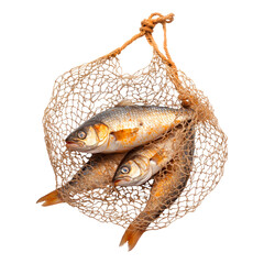 Fishing net filled with fish. Isolated on transparent background.