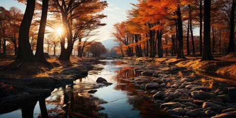 Wall Mural - Autumn colors reflect in river