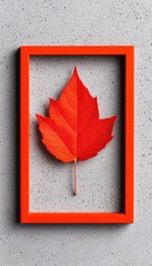 Wall Mural - Red maple leaf in an orange frame against a textured gray background.