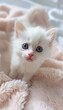 Wide-Eyed White Kitten on Pastel Blanket - Perfect for Pet Adoption Promotions