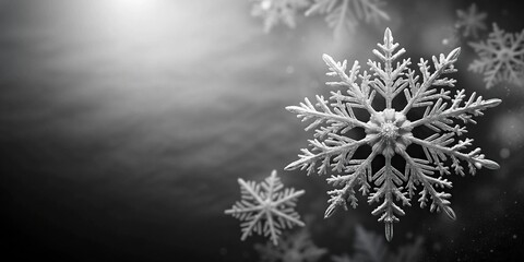 Wall Mural - tilted angle black and white background with snowflake falling