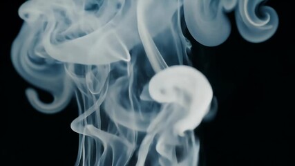 Wall Mural - Dramatic 4K Video Smoke Rising Black Background Evaporating Hot Water Being Dispersed Wind Stunning Transitions vapour spotlight pollution night movement spray magic flow transparent studio smoky